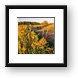 Goldenrod at Shoe Factory Prairie Framed Print