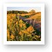 Goldenrod at Shoe Factory Prairie Art Print