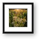 Fall Wildflowers at Sunset Framed Print