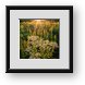 Buy Framed Print