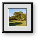 Buy Framed Print