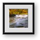 Buy Framed Print