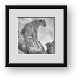 Buy Framed Print
