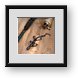 Buy Framed Print