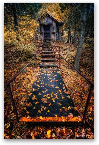 Spooky House in the Woods Fine Art Metal Print