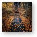 Buy Metal Print