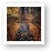 Buy Fine Art Print