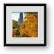 Buy Framed Print