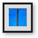 Buy Framed Print