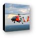 Buy Canvas Print