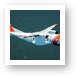 Buy Fine Art Print