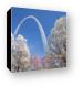 Buy Canvas Print