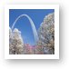 Buy Fine Art Print