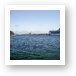 Port of Miami and cruise ships Art Print