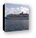 Royal Caribbean Cruise Liner Canvas Print