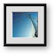 Buy Framed Print