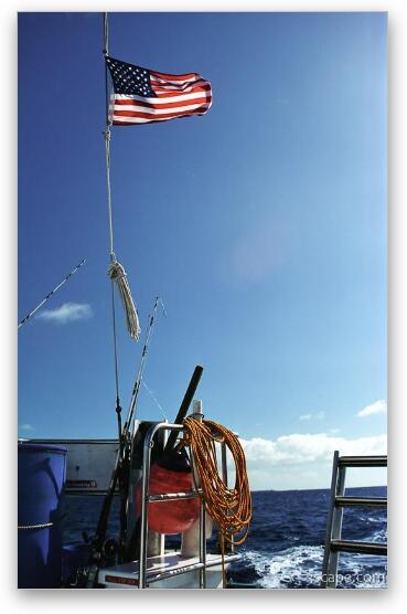 American flag on the boat stern Fine Art Metal Print