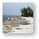 Small islands here are called Keys Metal Print