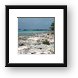 Driftwood on a rocky coral beach Framed Print