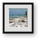 Buy Framed Print
