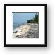 Rocky coral beach Framed Print