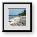 Buy Framed Print