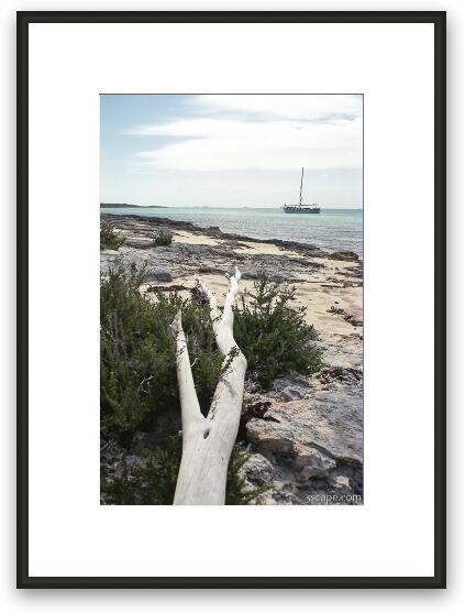 Driftwood pointing towards our sailboat Framed Fine Art Print