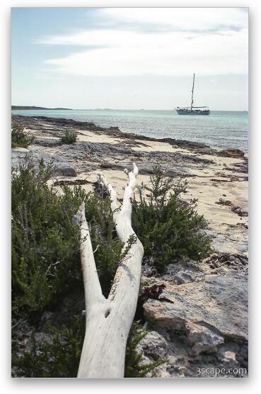 Driftwood pointing towards our sailboat Fine Art Metal Print