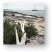 Driftwood pointing towards our sailboat Metal Print