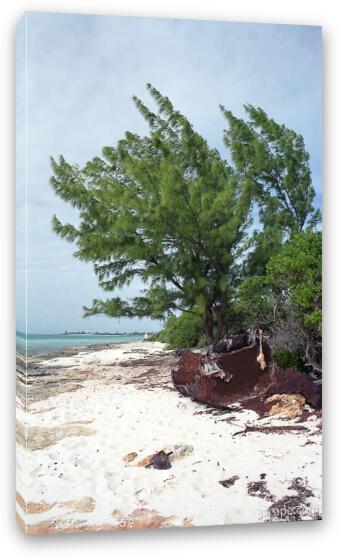 Rusted wreckage on the beach Fine Art Canvas Print