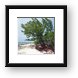 Rusted wreckage on the beach Framed Print