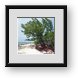 Buy Framed Print