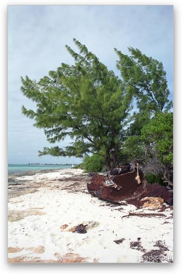 Rusted wreckage on the beach Fine Art Print