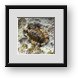 Buy Framed Print