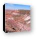 The Painted Desert Canvas Print