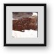 Buy Framed Print
