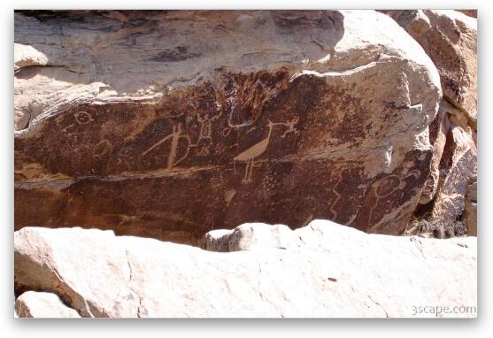 Petroglyphs Fine Art Metal Print
