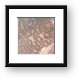 Petroglyphs Framed Print