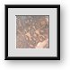 Buy Framed Print