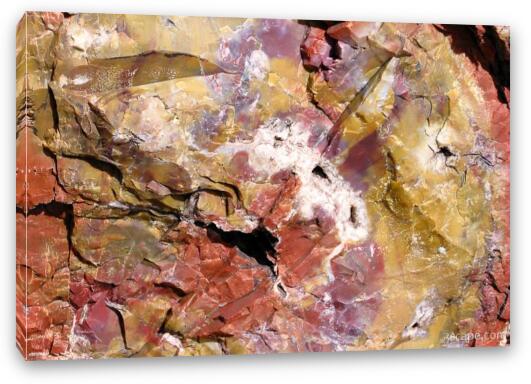 Petrified wood close-up Fine Art Canvas Print