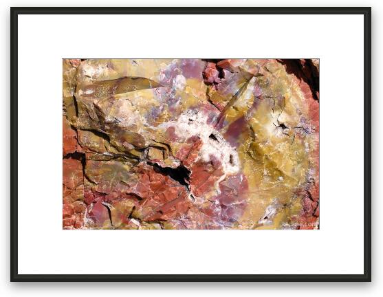 Petrified wood close-up Framed Fine Art Print