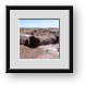 Buy Framed Print