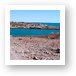 Puertocitos on the Gulf of California Art Print