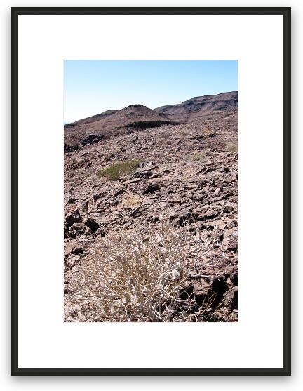 Harsh desert environment Framed Fine Art Print