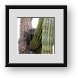 Buy Framed Print