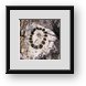 Buy Framed Print