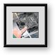 Buy Framed Print