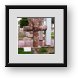 Buy Framed Print