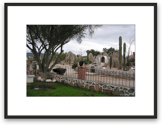 Cactus garden Framed Fine Art Print