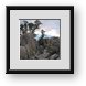 Buy Framed Print